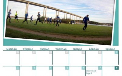 Årets SvOK kalender