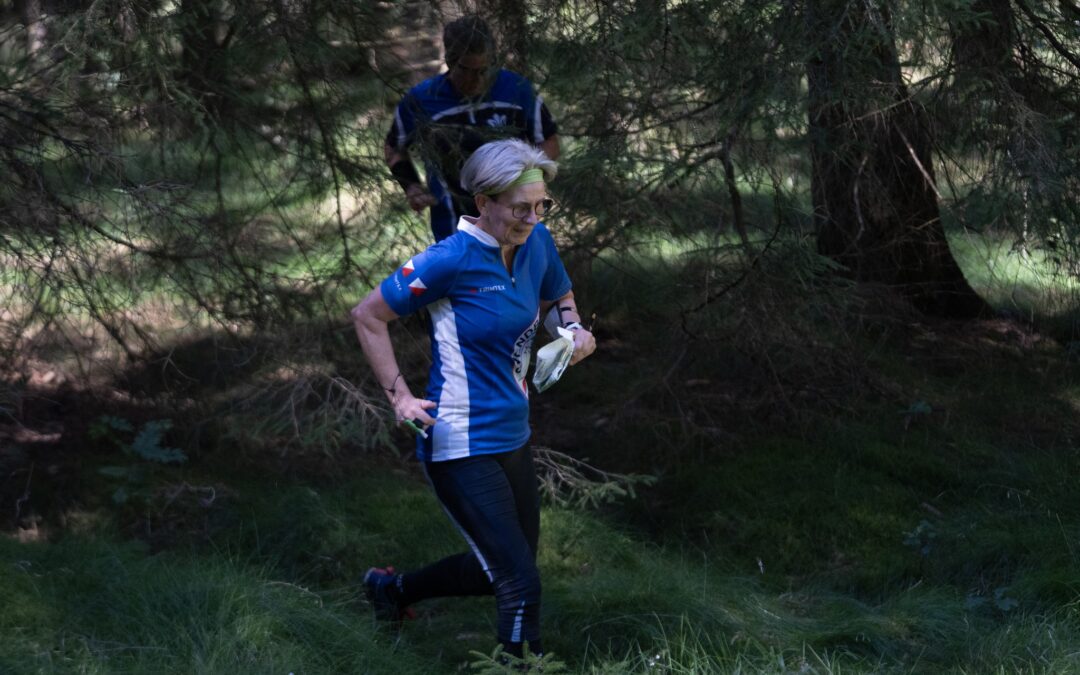 Divisionsmatch 12.april