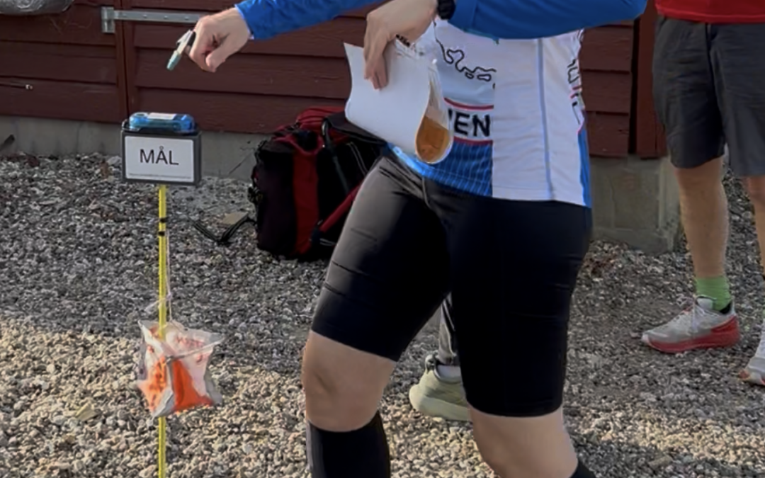 Resultat fra Oure